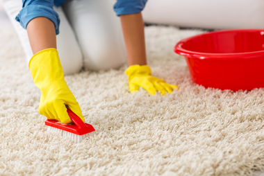 How To Really Clean Your Carpets